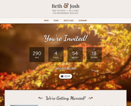 A crop of the landing page featuring a countdown to the wedding day